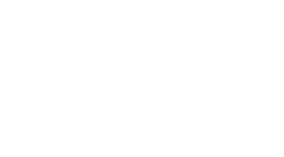 TunisianValues logo